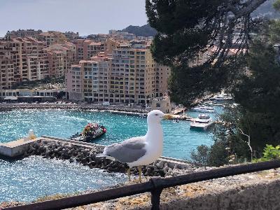 Francia rivira s Monaco