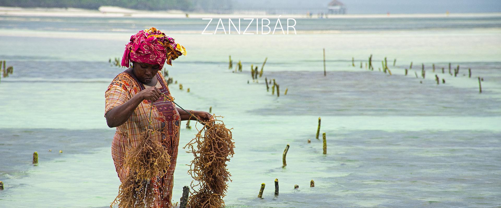 Zanzibr csods szigete