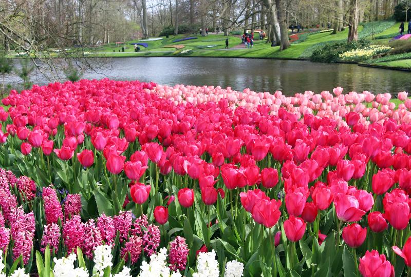 Hollandia 4 nap Hollandia 4 nap
