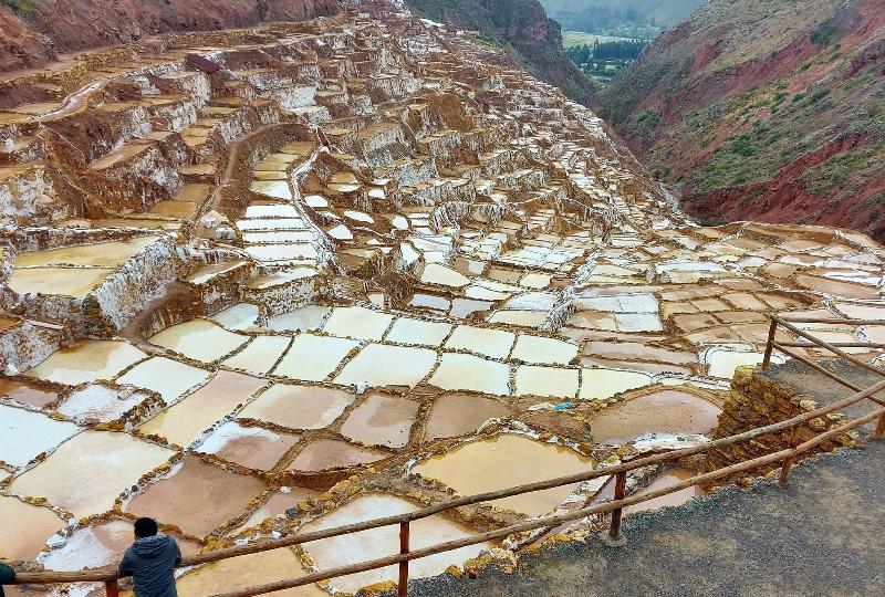 A Machu Picchu s magaslati dzsungel tra