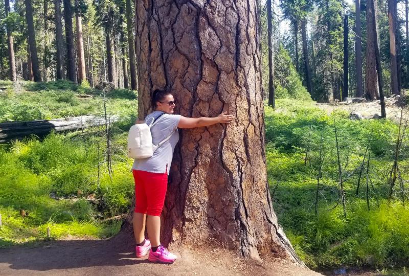 USA nyugati part nemzeti parkok t�ra